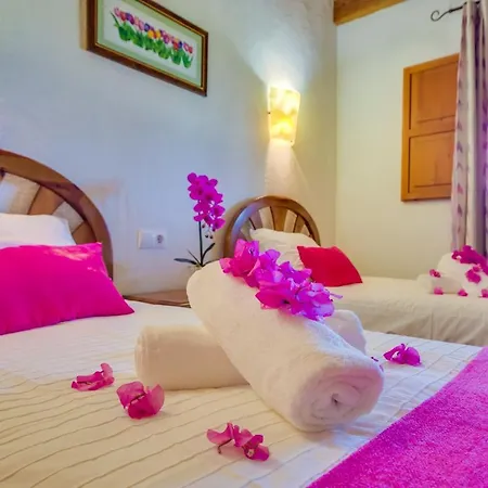 Ideal Mallorca - Ses Poves Country house